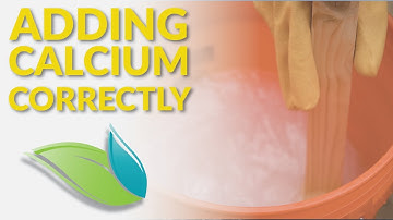 How To Safely Add Calcium to a Swimming Pool | Orenda Procedures