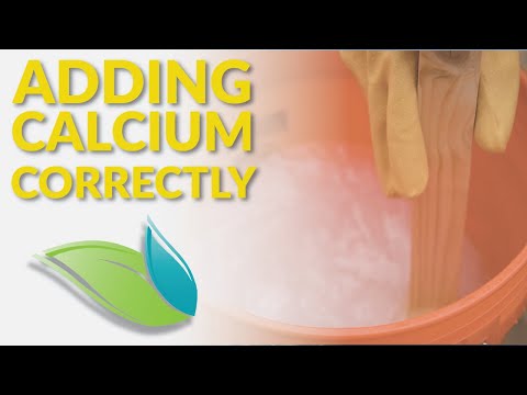 How To Safely Add Calcium to a Swimming Pool | Orenda Procedures