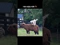 Chill time#viral