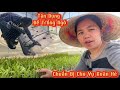KamiyaHang Jp || RA ĐỒNG RUỘNG THĂM CHỒNG NHẬT TRỒNG NGÔ - TRANH THỦ LÚC EM BÉ NGỦ VÀ CÁI KẾT ...