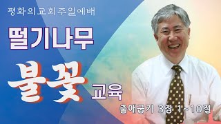 [부설 평화의교회 주일예배] 