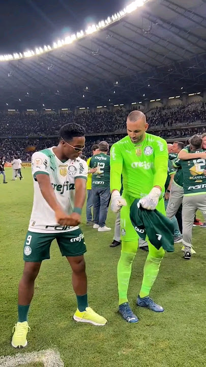 Veiga perde gol inacreditável, e Internacional e Palmeiras ficam no empate  pelo Brasileirão - Lance!