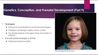 Chapter 9- Human Development