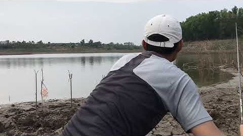 câu cá nàng hai đập sông rây t1 ( vượt 100km học hỏi kinh nghiệm a Tuấn $ Phi tv )