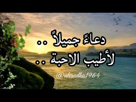 اللهم وفقهم واحفظهم في حياتهم وبارك لهم في رزقهم وذرياتهم وتمم عليهم الصحة في أبدانهم