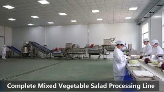 Complete Mixed Vegetable Salad Processing Line. Vortex Vegetable Washing Machine Net Worth