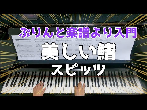 【入門】美しい鰭  / スピッツ / 「名探偵コナン黒鉄の魚影」主題歌 / ぷりんと楽譜