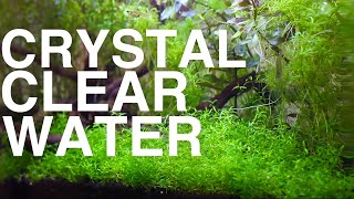 How to keep your Fish Tank water CRYSTAL CLEAR | One Minute Fish Tank