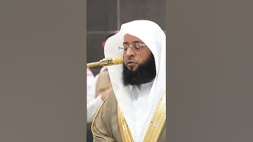 ﴿ وإذا جاءك الذين يؤمنون بآياتنا فقل سلام عليكم كتب ربكم على نفسه الرحمة ﴾ الشيخ بدر التركي