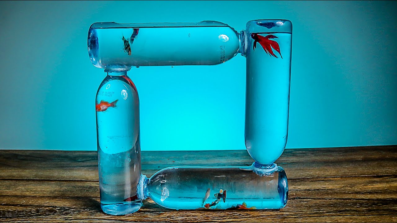 DIY PLASTIC BOTTLE FISH AQUARIUM! 