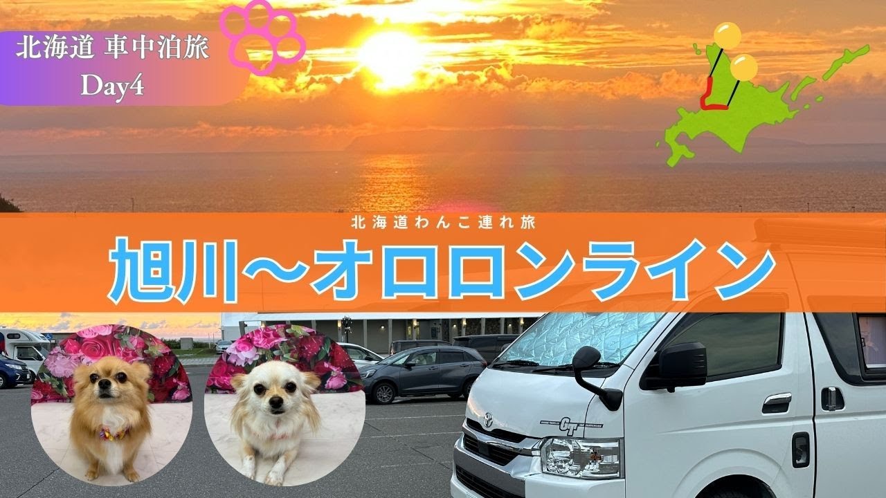 【北海道 ワンコ連れ車中泊旅】旭山動物園から絶景オロロンライン道の駅巡り！まさかの豪雨で予定変更続出で疲労困憊！？「北海道 車中泊旅 Day4」#キャンピングカー #車中泊 #トイファクトリー