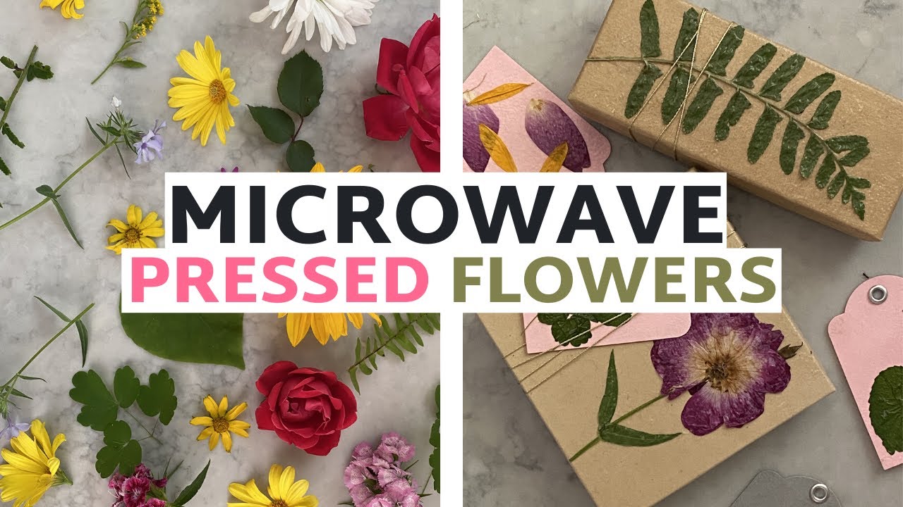 How to Make Pressed Flowers in the Microwave