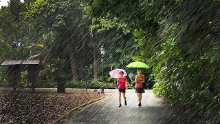 4K RAIN Walk Singapore Botanic Gardens : Lush Tropical UNESCO Heritage Site : RAIN DROPS ASMR by Ambient Walking 992 views 8 months ago 38 minutes