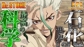 Dr.STONE 同時視聴