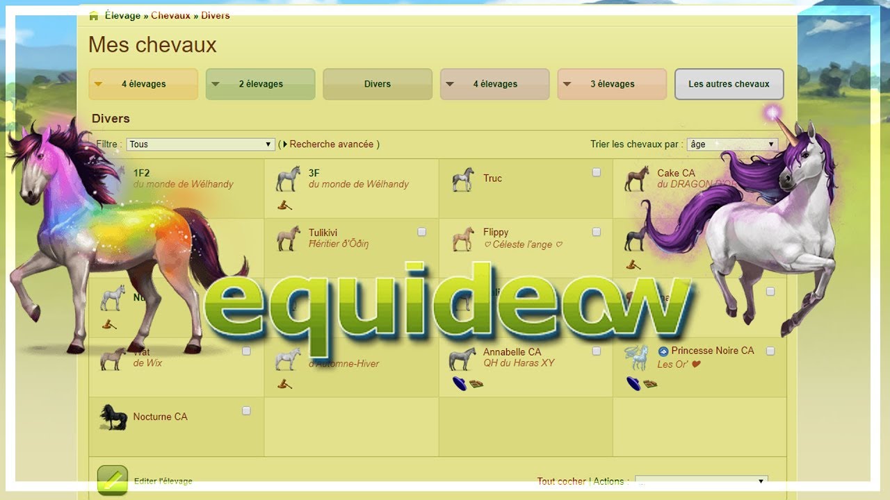 EQUIDEOW : Futures LICORNES et tri de mes chevaux ! #4 - YouTube