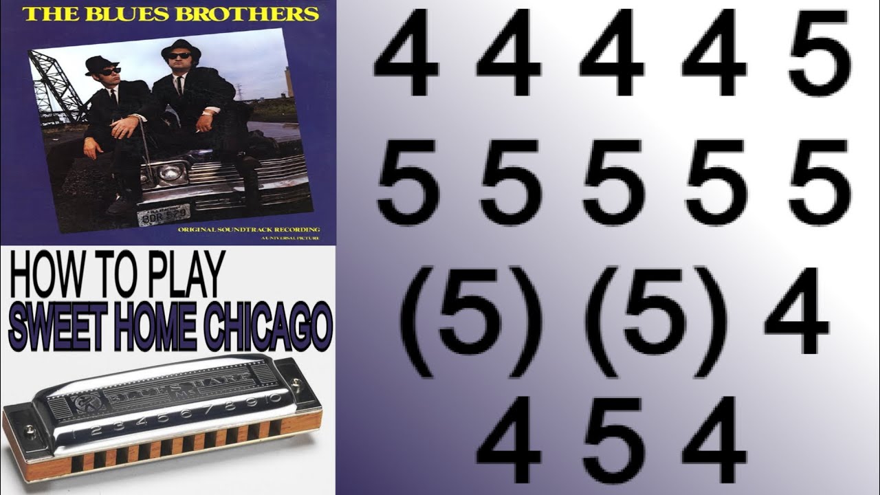 THIS IS A GREAT BLUES, SWEET HOME CHICAGO HARMONICA ( C DIATONIC