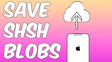 How to Save SHSH2 Blobs Using TSS Saver App on iPhone