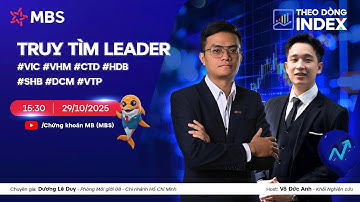 TRUY TÌM LEADER | #VIC #VHM #CTD #HDB #SHB #DCM #VTP | THEO DÒNG INDEX 29.10.2025