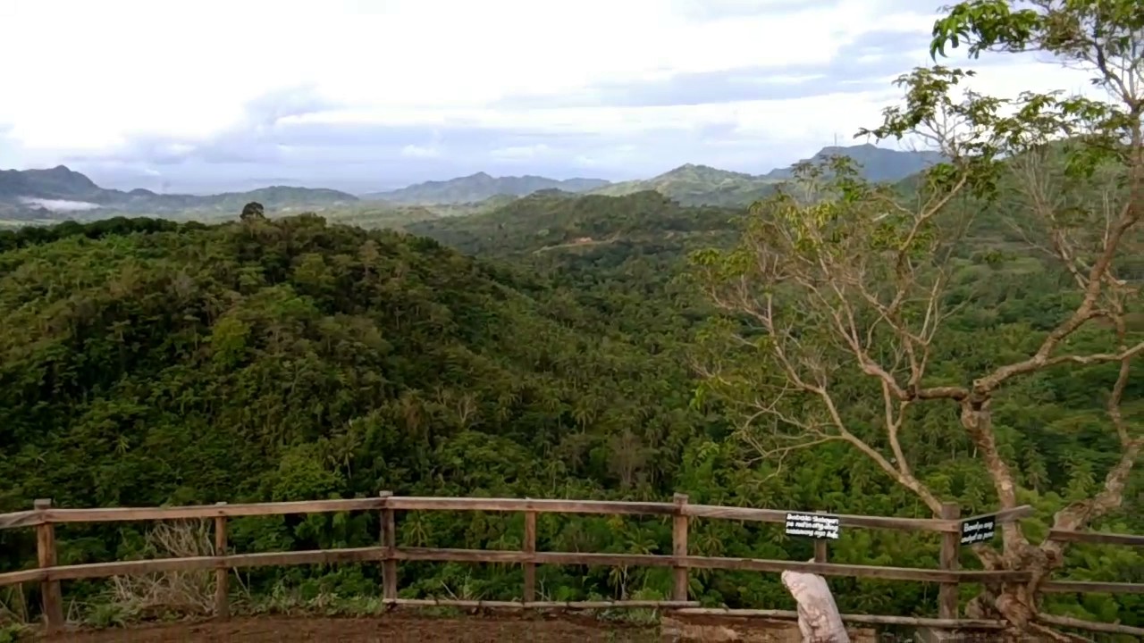 Buhay Forest Youtube