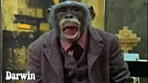 Lancelot Link- Secret Chimp