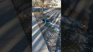 IMG 1056