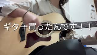 【Taylor 214ce Plus】購入初日のマリーゴールド弾いてみた！