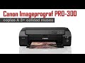Impresora Canon Imageprograf PRO 300, tamaño A 3+ y calidad excelente