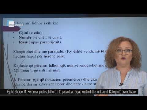 Video: Ku janë përemrat pyetës?