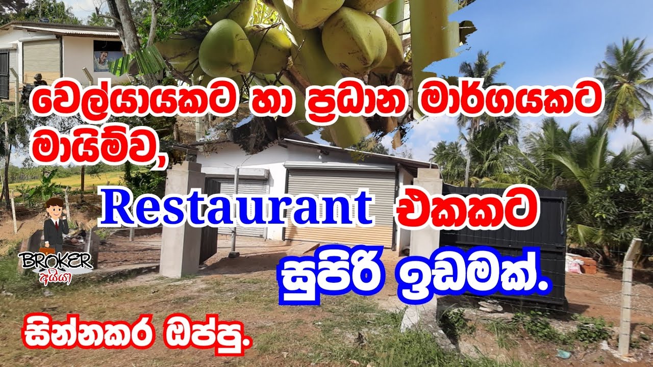 Property for sale in padeniya/land for sale /idam gewal/property for sale in sri lanka/property
