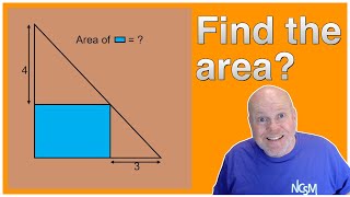 Find the area of the rectangle