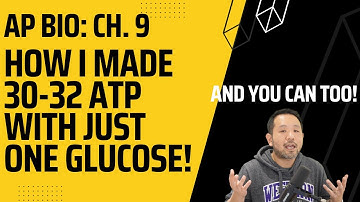 AP Biology: Aerobic Cell Respiration (Chapter 9 on Cambell Biology)