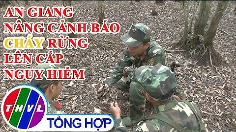 An Giang nâng cảnh báo cháy rừng lên cấp nguy hiểm