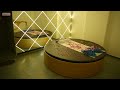 Best Spa in Ahmedabad Gujarat | Relaxing Massage & Wellness Therapy | Alex International Spa