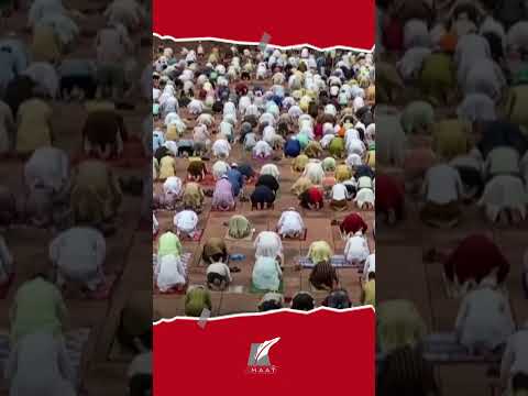 تعرف على عدد المسلمين في الهند