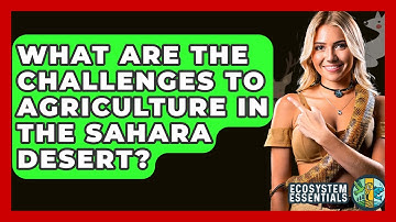 What Are The Challenges To Agriculture In The Sahara Desert? - Ecosystem Essentials
