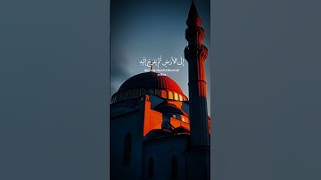 تلاوه هادئة #قران_كريم #المصحف #quran #islamic #islamicvideo