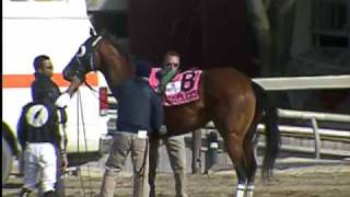 NYRA's "Outside Man" Makes Incredible Save in Bay Shore