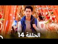 حب من النظرة الأولى الحلقة 14 الدبلجة العربية