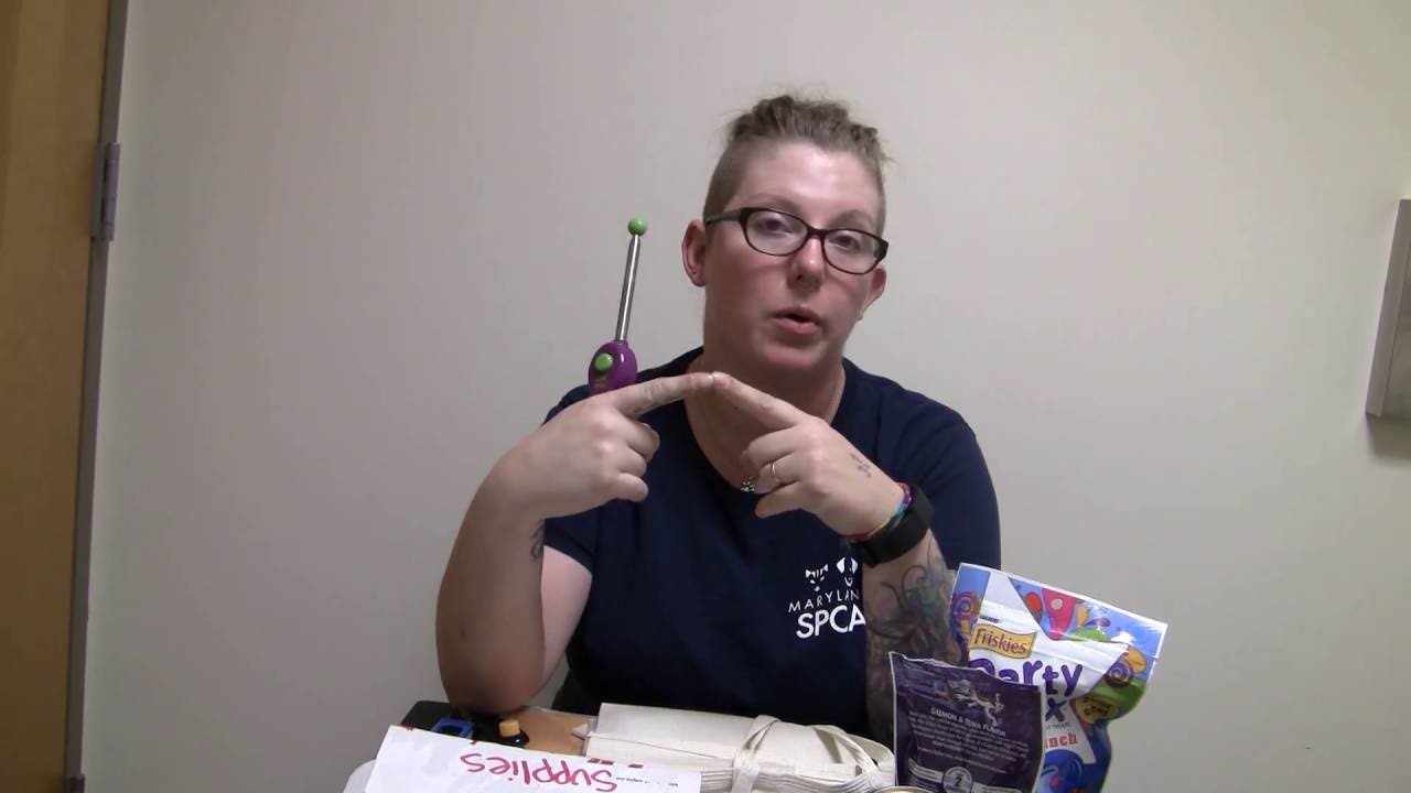 Intro to Pawsitive Reinforcement training!