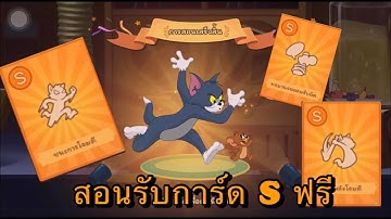 Tom and Jerry chase สอนวิธี รับการ์ดความรู้ ระดับ S ฟรี