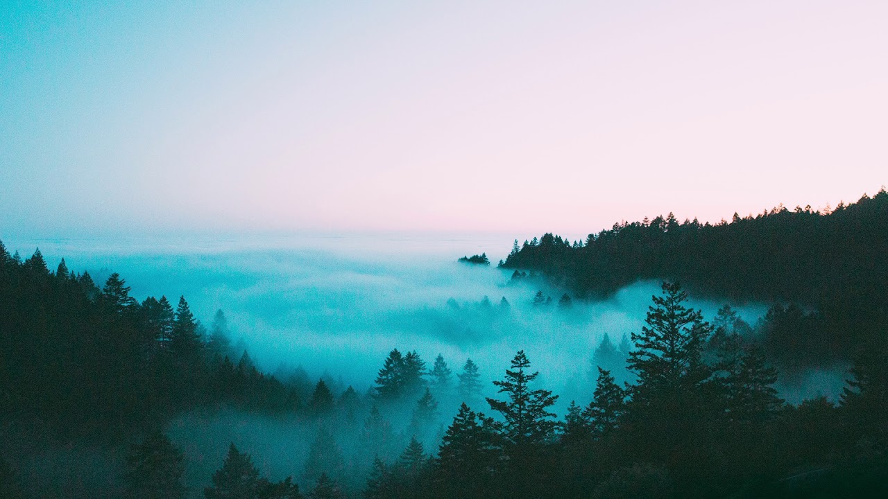 ⁣Wayr - Silent Thinking
