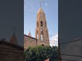 የናታችን ቅድስት ድንግል ማርያም ፍቅር ሲገባን እንዲ ነን 