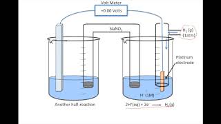 Standard Reduction Potential