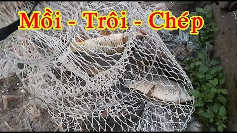 Full - Hướng Dẫn Trộn Mồi Câu Lăng Xê -  Mới Nhất 15/05/2021-Còn Lăng Xê Và Mồi Câu Lăng Xê Nhé AE