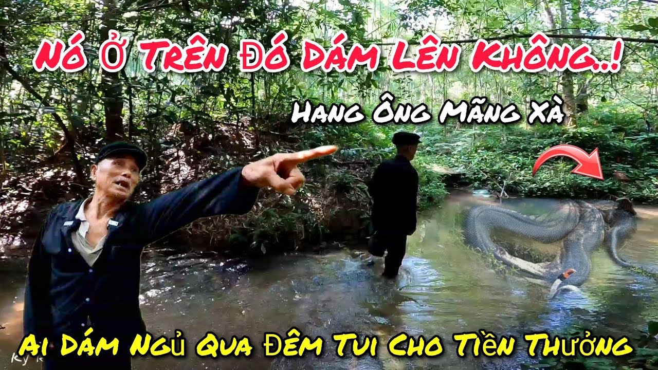 Theo chân cụ ông 82t dẫn lên hang 