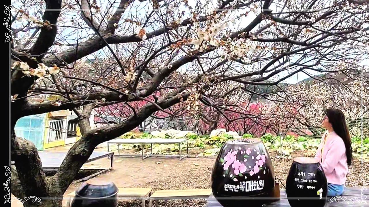 부산 기장 매화원