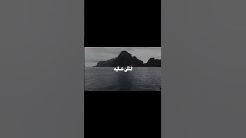 سورة الجاثية |محمد اللحيدان