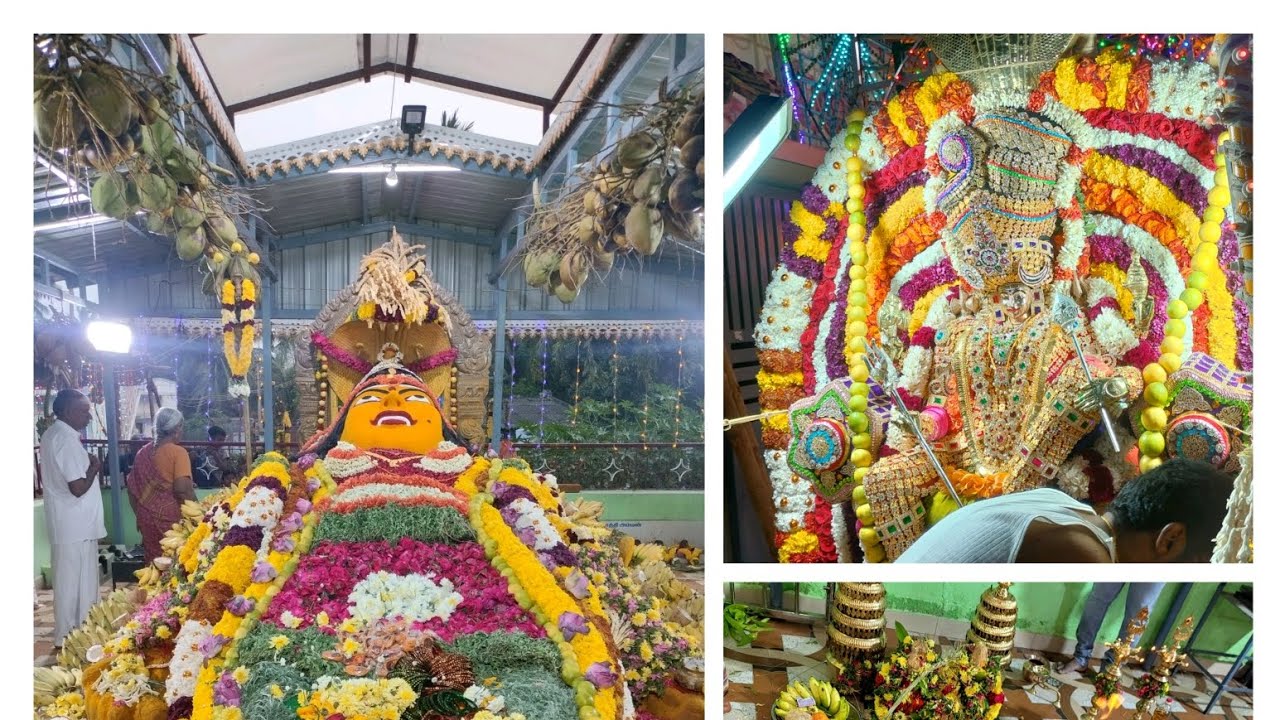 Kuladeiva Kovil function vlog🙏#amman #trending #familyvlog#food#entertainment#video#deivigam#pambai 