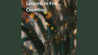Lessons in Fire Counting