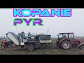 kopanie pyrów Annom, dryfowanie fergusonem "vlog 35" siuntka po remoncie